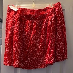Women’s Gap Skirt